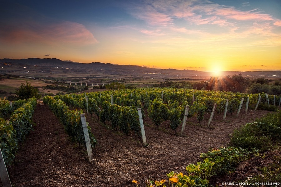 Aglianico