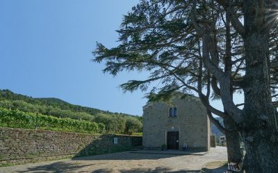 A piedi ai Santuari delle Cinque Terre