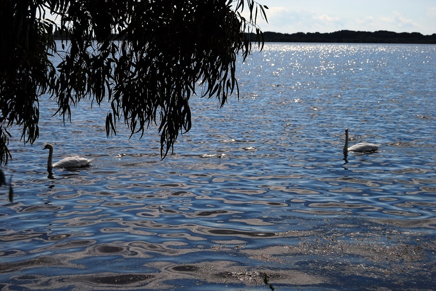 Lago di Fogliano