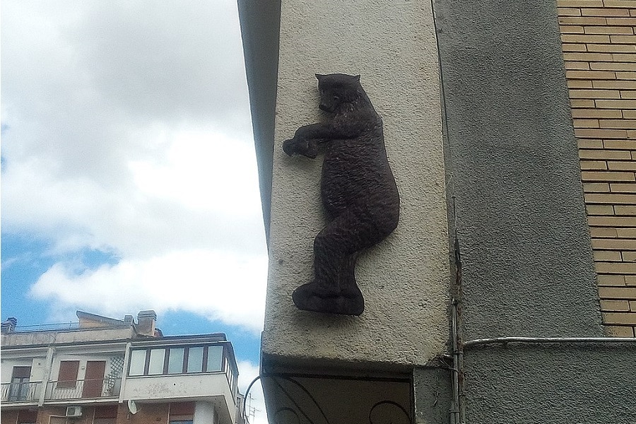 Orso Marsicano 2