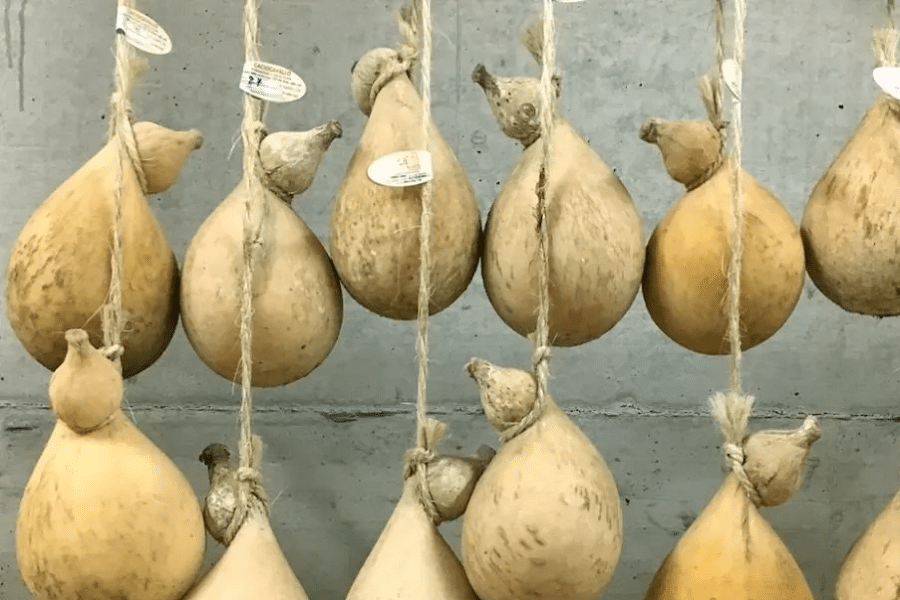 Caciocavallo di Fonte Luna