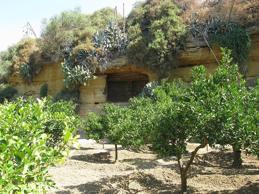 Giardino della Kolymbetra