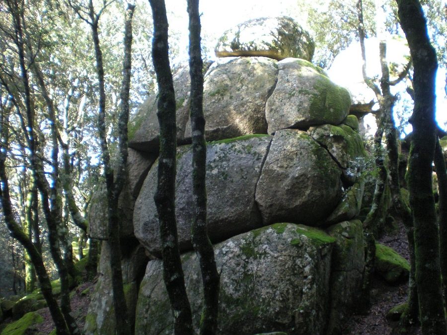 La misteriosa storia dei megaliti di Nardodipace