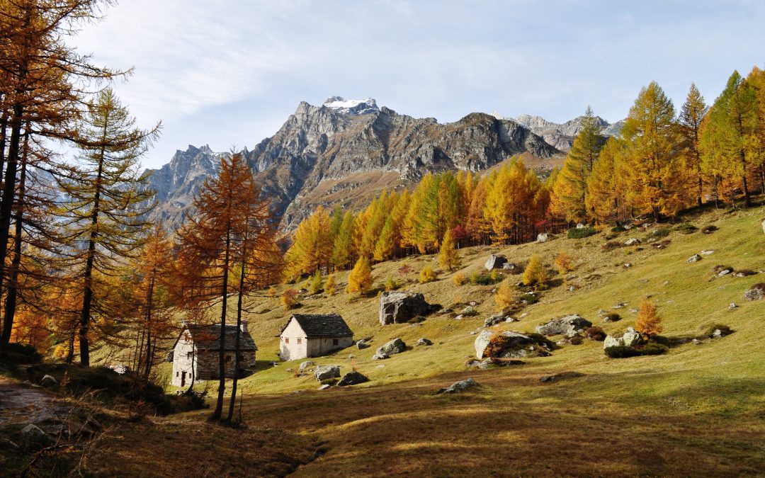 Dove vedere il foliage in Italia: i migliori parchi, borghi e panorami autunnali