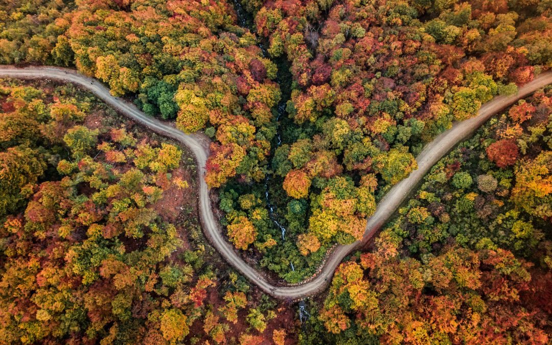 Dove ammirare il foliage autunnale in Italia e nel mondo